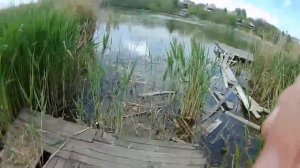 УСТАНАВЛИВАЕМ РАКОЛОВКИ И ЛОВИМ РЫБУ