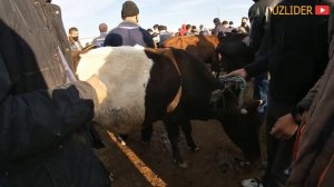 ХОРАЗМ МОЛ БОЗОР НАРХЛАРИ 2-КИСМ