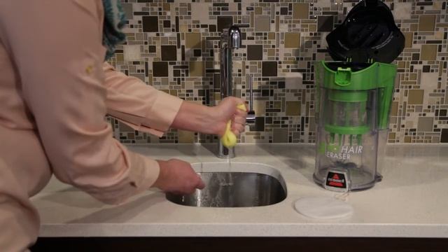 Filters Pet Hair Eraser™ смотреть онлайн