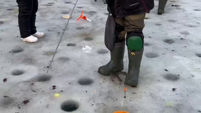 02.02.25 г. РК Волна