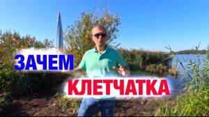 Клетчатка - всё, что нужно знать.