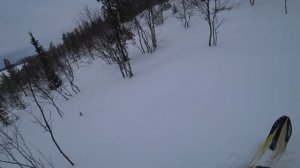 Мурманская область
