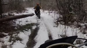 эндурим с Поповки с Саблино через Козловский лес