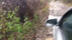 Фрагменты offroad 2019