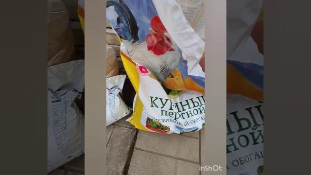 Уход за розами в начале мая.  Санитарная обрезка и подкормка роз.