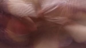 LICKING & KISSING - EROTIC ASMR