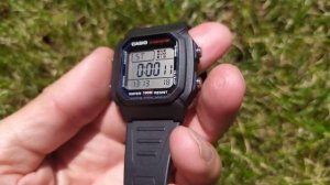 CASIO W-800H-1AVES