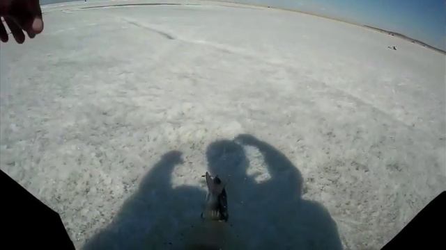 Весна апрельский жор рыбы