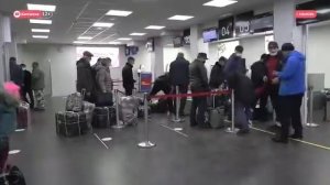 Масштабный вывоз икры в личном багаже продолжается