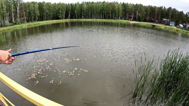 Ловля ВРЕДНОЙ ПЛОТВЫ на МАННУЮ БОЛТУШКУ!!! Рыбалка на базе "Усть-Алеус". Неугомонный рыбак отдыхает! смотреть онлайн