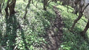 №175. 6 серия ВИДЕО