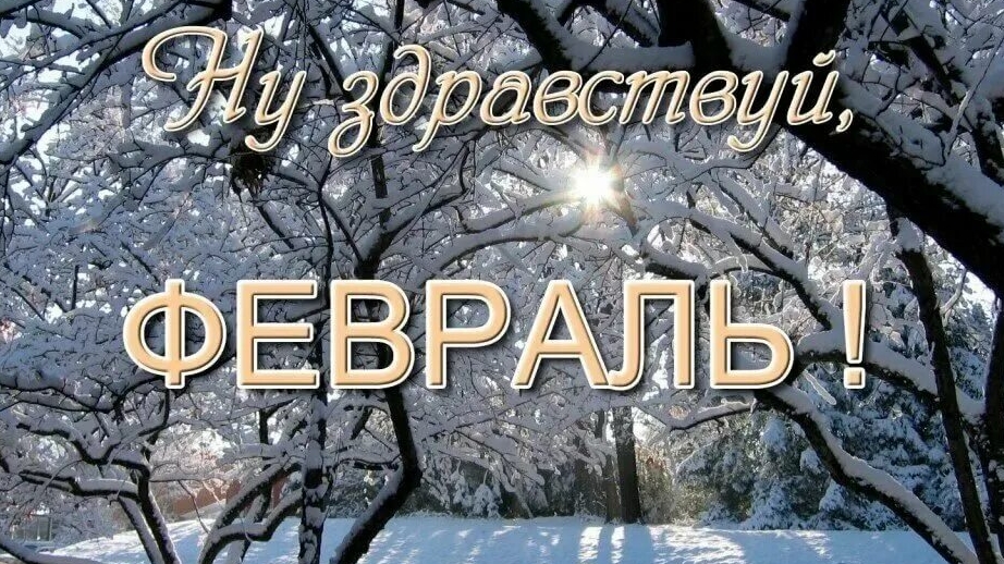 Февральский привет. Музыкальная открытка поздравление.