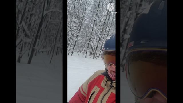 Губаха снежная