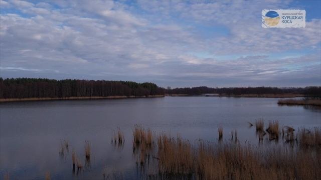 День водно-болотных угодий