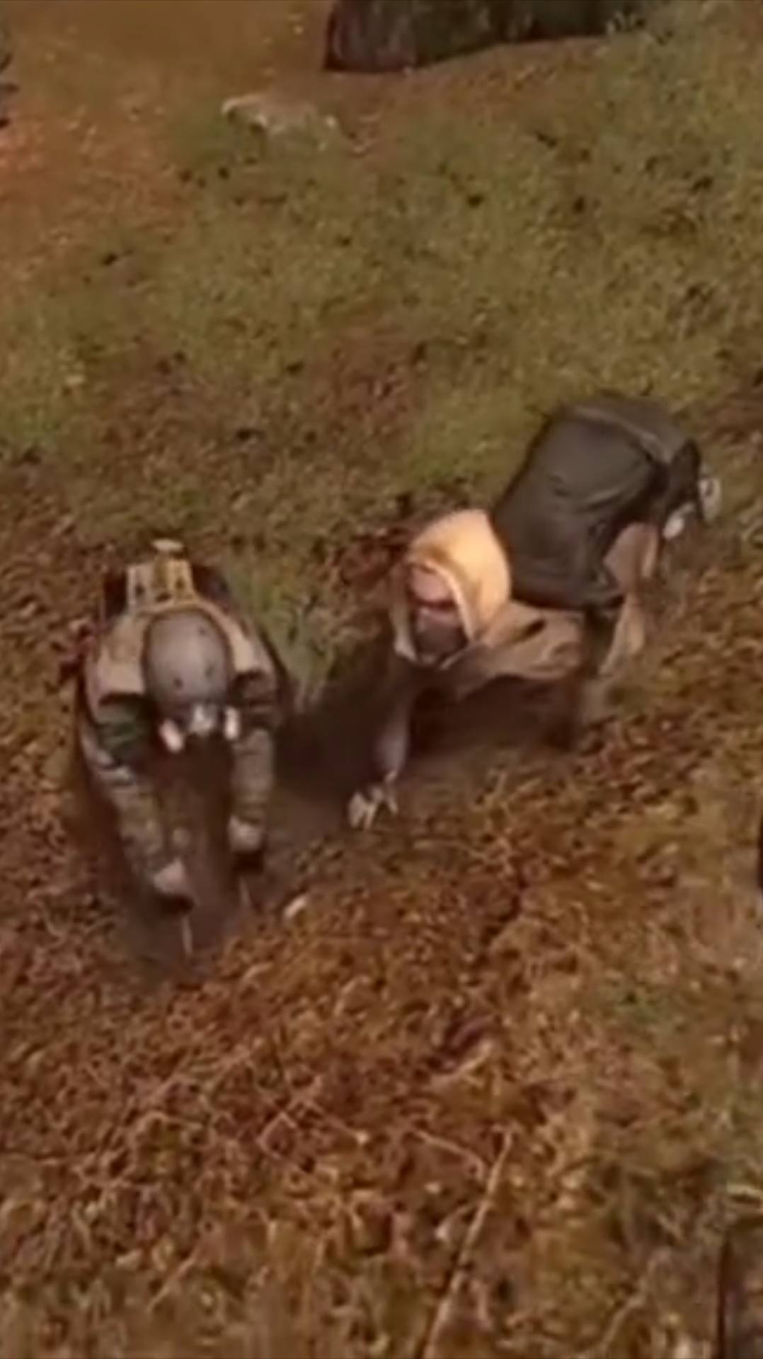 СТАЛКЕРОПЁС S.T.A.L.K.E.R чистое небо