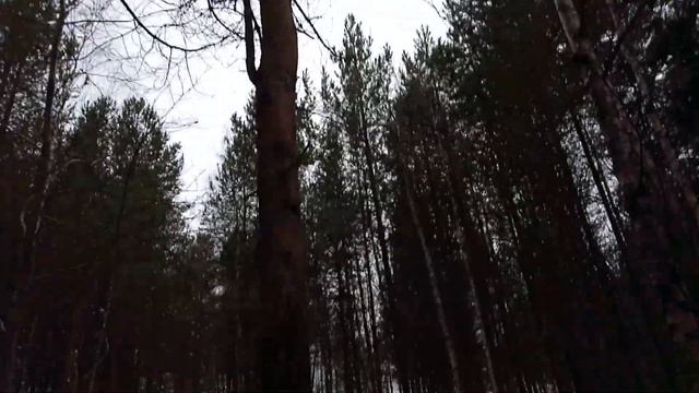 Как я искал белок смотреть онлайн