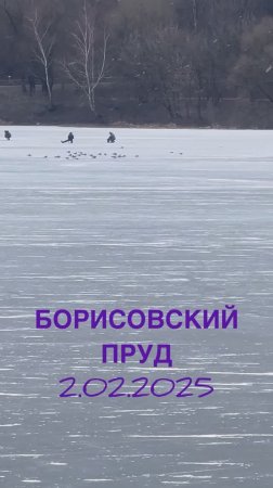 Воскресные «пингвины» 🎣