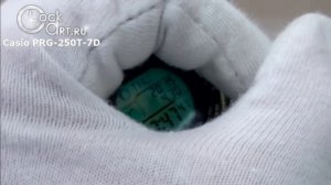 Наручные часы Casio Protrek PRG-250T-7D