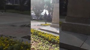 Улица Красноармейская.