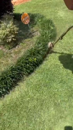 String Trimmer Lawn Edging With A Stihl fs130 #lawncare #shorts #grasscutting #yardcleanup #howto