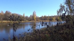 Золотые прииски