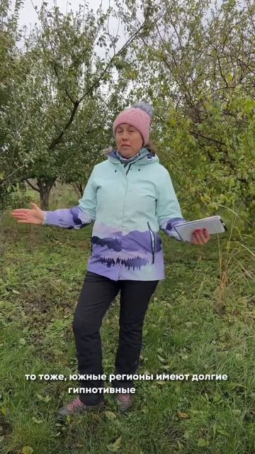 Как правильно сажать плодовые деревья? (часть 2)