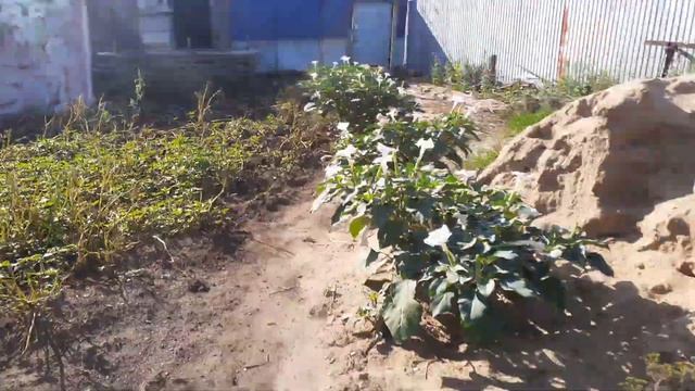 Утро не с кофе началось 😉 смотреть онлайн