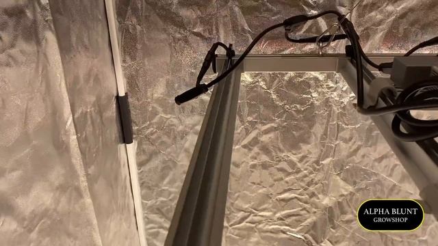 LED MARS HYDRO FCE-3000 QUANTUM BAR 300W REVIEW! 🔥 смотреть онлайн