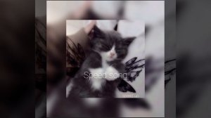 _Мияги. Эндшпиль-покажи свою любовь(speed up)_