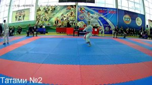 Татами № 2  Межрегиональный турнир по каратэ WKF "Шаги к успеху"