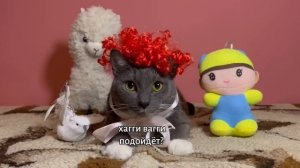 ЕСЛИ БЫ КОТИКИ ХОДИЛИ В ШКОЛУ