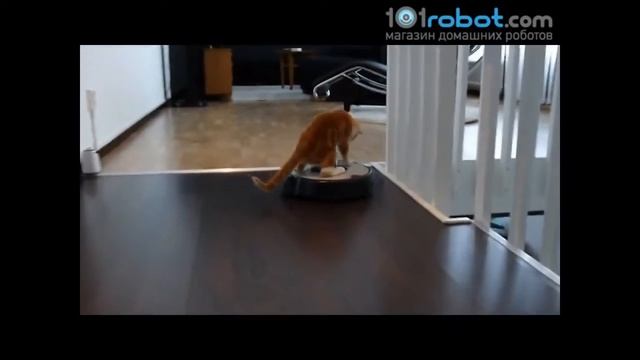 Лаборатория робототехники для детей смотреть онлайн