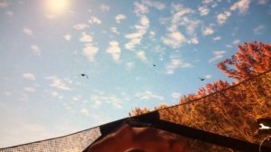 The Hunter Call of the Wild Canada Goose Hunting