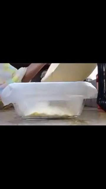 Cake in just 7 mins! Super moist Vanilla Cake in microwave смотреть онлайн