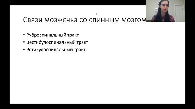 Мозжечок: анатомия, функциональные отделы, связи, функции. Клиника поражения.
