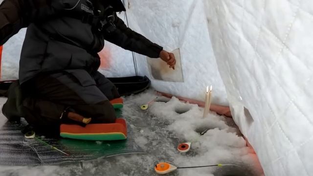 Мешок РЫБЫ с ОДНОЙ ЛУНКИ!!! ЭТО РЕАЛЬНО!!! Здесь НЕПУГАНАЯ рыба! На ЧТО ЛОВИТЬ КАРАСЯ зимой со льда? смотреть онлайн