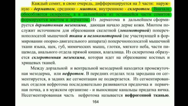 Ответ "ищем научные чудеса и ошибки коране чудоверие"