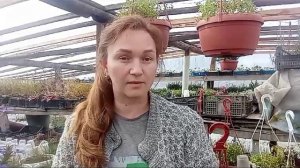 Когда Вам попадается цветочек "падла".  Видео не про цветы. Не обессудьте!