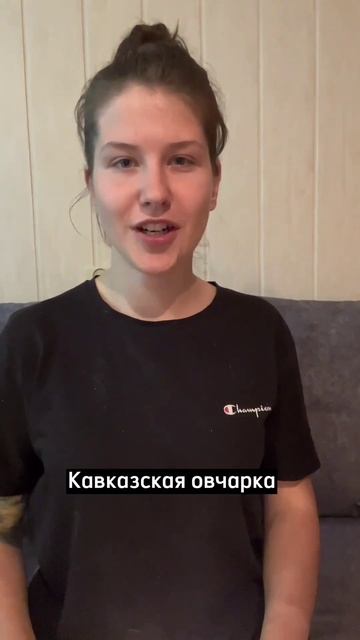 топ пород для охраны частного дома