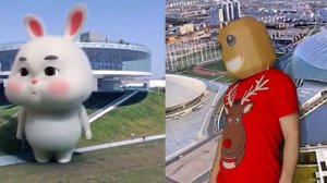 Cute Fat Rabbit and Buddy Antistress. The Best Moments. DIY