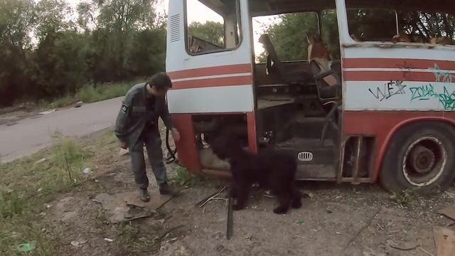 автобус - Ника 2 смотреть онлайн