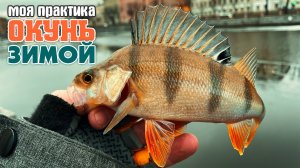 СЕКРЕТЫ Ловли Капризного ОКУНЯ! Конец ЯНВАРЯ! НаноДжиг и ДропШот - Советы и Тактики ловли! #окунь