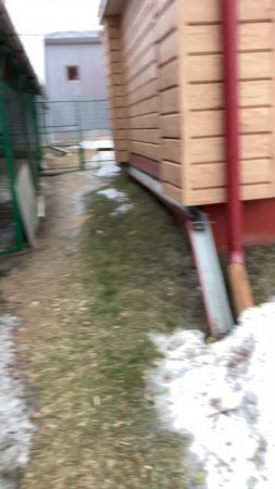 Весна среди зимы #зима #зима2025 #погода #деревня #жизньвдеревне #деревенскаяжизнь #домвдеревне