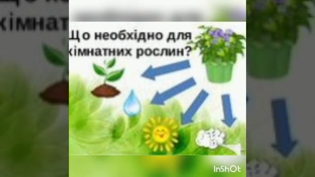 Генсіцька І.А. Природа. Тема: Кімнатні рослини.(молодша група) смотреть онлайн