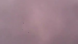 Николаевские голуби Саратов