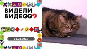 Видели видео? Выпуск от 02.02.2025