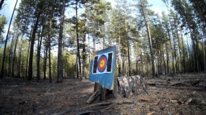 ТЕСТ ОХОТНИЧЬЕГО ПРИЦЕЛА WestHunter HD 1X6X24 IR ЗАГОННИК