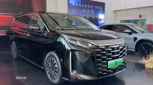 2025 BYD Xia