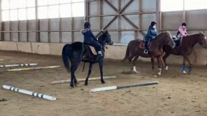 Дневник конника Продолжаем заниматься