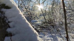 Солнечный день в деревне.